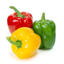 2021 New Season Bell Pepper Sweet And Fresh In Red Yellow Green Bell Pepper